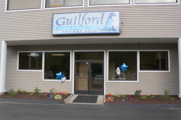 guilford outside